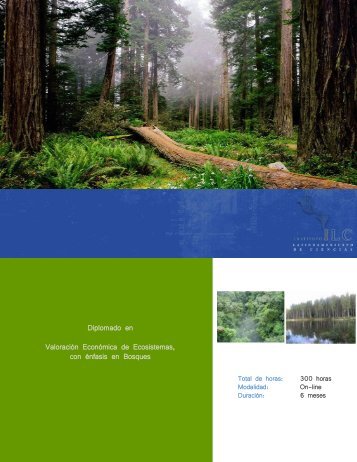Diplomado en Valoración Económica de Ecosistemas con énfasis en Bosques