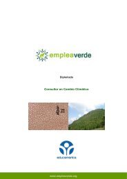 Consultor en Cambio Climático