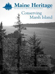 Conserving Marsh Island