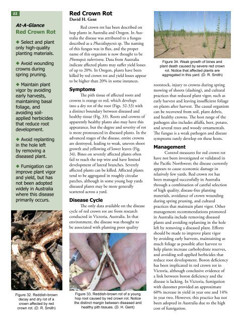 Field Guide for Integrated Pest Management in Hops