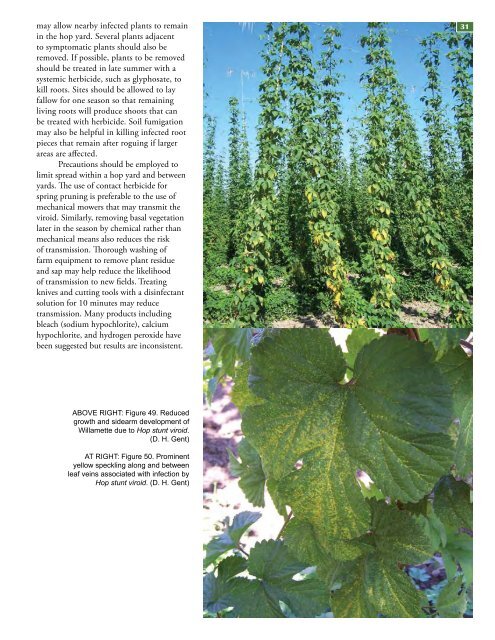 Field Guide for Integrated Pest Management in Hops