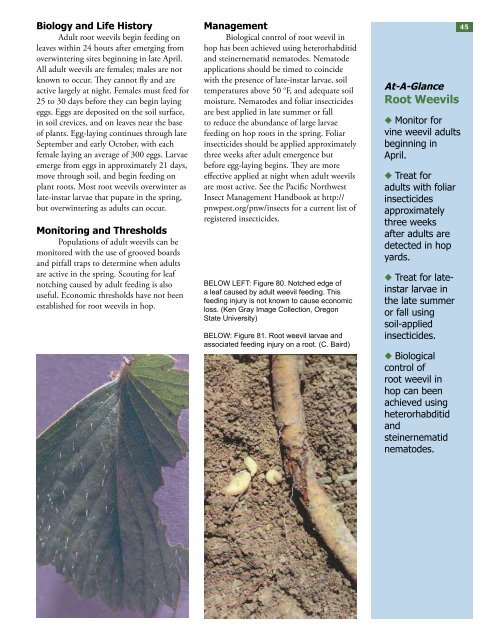 Field Guide for Integrated Pest Management in Hops