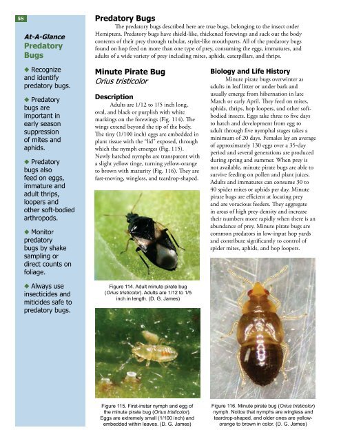 Field Guide for Integrated Pest Management in Hops