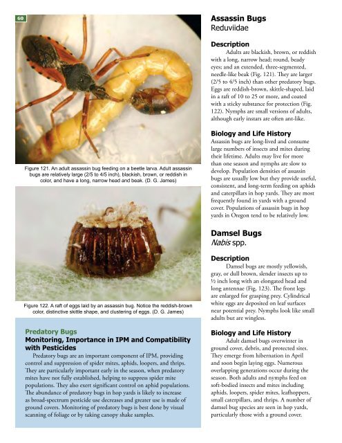 Field Guide for Integrated Pest Management in Hops