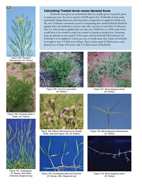 Field Guide for Integrated Pest Management in Hops