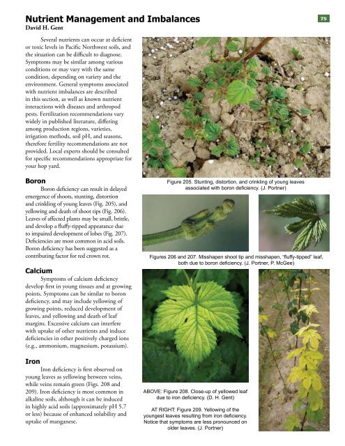 Field Guide for Integrated Pest Management in Hops