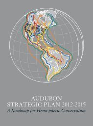 audubon strategic plan 2012-2015