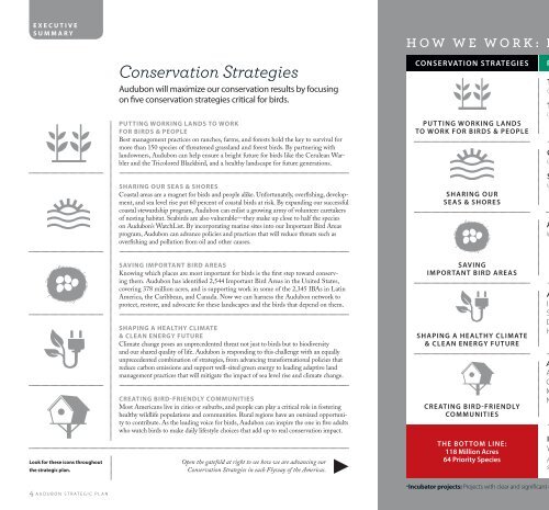 audubon strategic plan 2012-2015