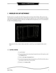 1 MODELER OR SOP NETWORKS?