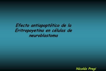 Efecto antiapoptótico de la Eritropoyetina en células de neuroblastoma