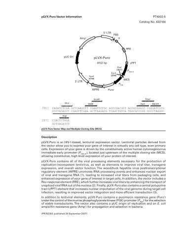 pLVX-Puro Vector Information