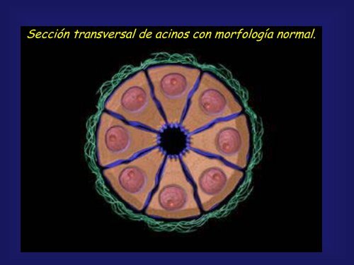 Teóricas Dr. Juan C. Calvo (2003) Archivo 1 (PDF)