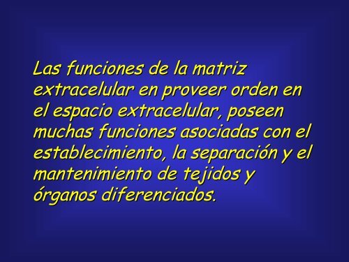 Teóricas Dr. Juan C. Calvo (2003) Archivo 1 (PDF)