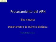 Procesamiento del ARN