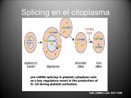 Splicing en el citoplasma