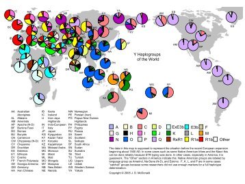 Y Haplogroups of the World H O I P J Q K RxR1 E3b L R1a F M R1b ...