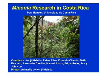 Miconia Research in Costa Rica