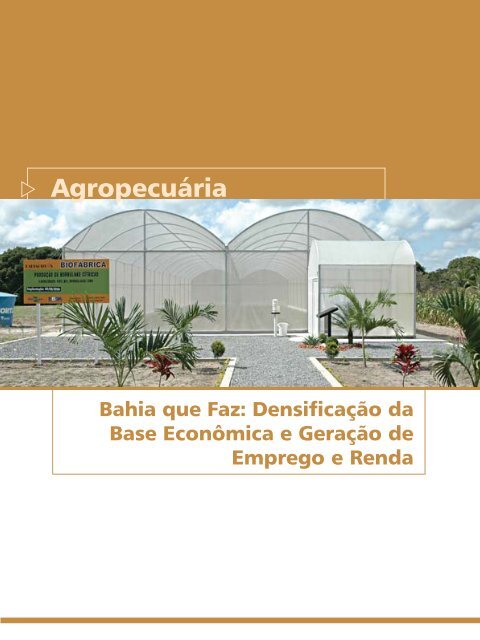 Agropecuária