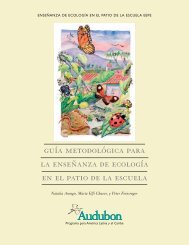 guía metodológica para la enseñanza de ecología en el patio de la escuela