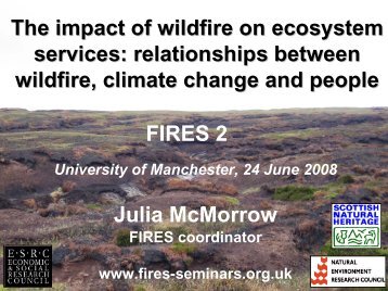 The impact of wildfire on ecosystem services - FIRES ...