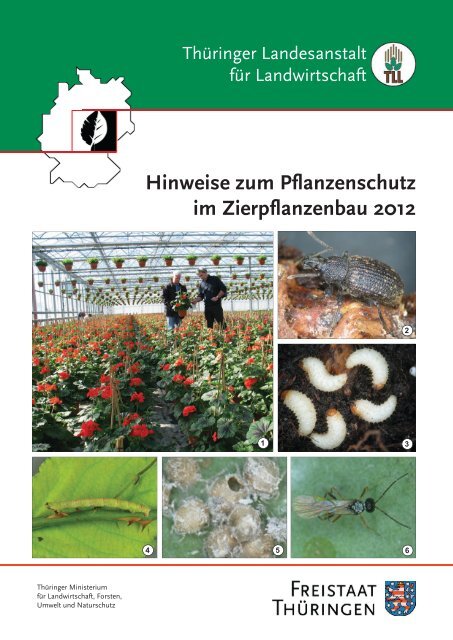 Hinweise zum Pflanzenschutz im Zierpflanzenbau 2012 - TLL