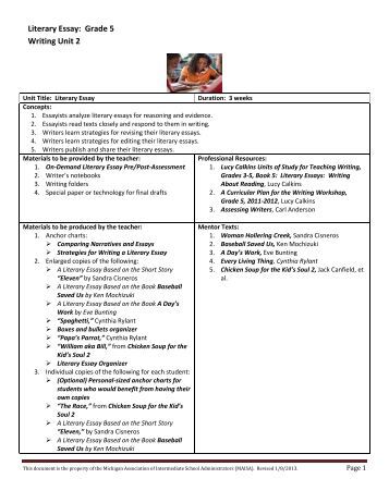 Literary essay examples