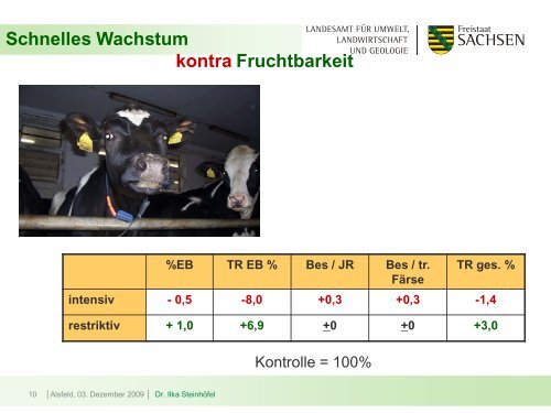 Intensiv und kurz? - Kernpunkte einer effizienten Aufzucht