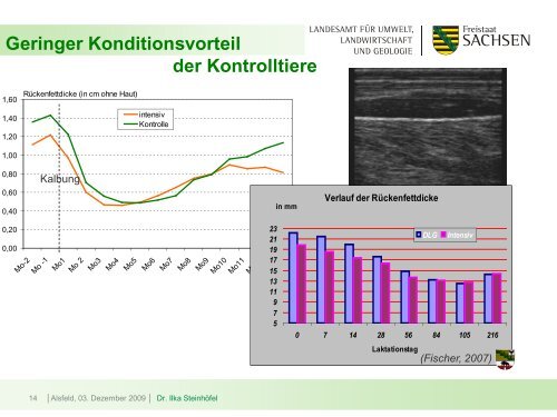 Intensiv und kurz? - Kernpunkte einer effizienten Aufzucht