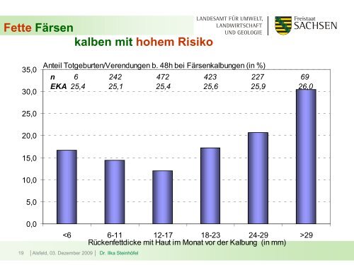 Intensiv und kurz? - Kernpunkte einer effizienten Aufzucht