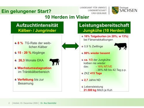 Intensiv und kurz? - Kernpunkte einer effizienten Aufzucht