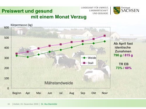 Intensiv und kurz? - Kernpunkte einer effizienten Aufzucht