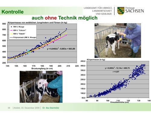 Intensiv und kurz? - Kernpunkte einer effizienten Aufzucht