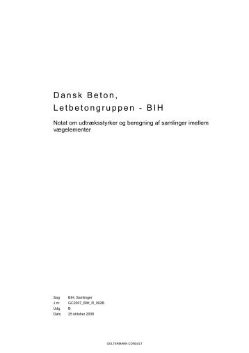 Dansk Beton Letbetongruppen - BIH