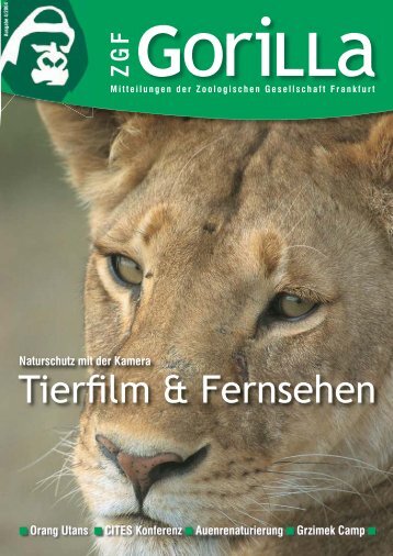 ZGF Gorilla | Dezember 2004 - Zoologische Gesellschaft Frankfurt