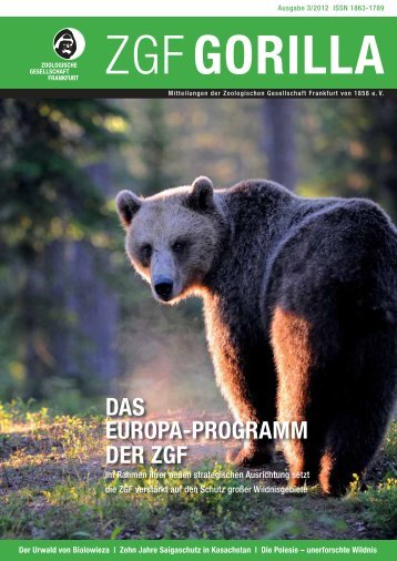ZGF Gorilla | Juli 2012 - Frankfurt Zoological Society