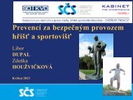 Prevencí za bezpečným provozem hřišť a sportovišť