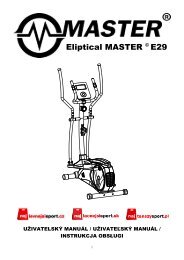 Eliptical MASTER E29