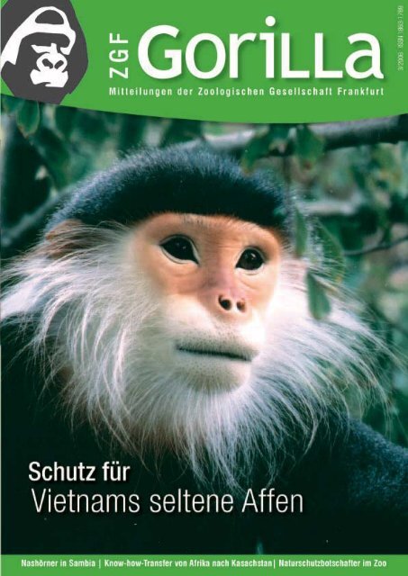 Goldschopf- oder Cat Ba-Langur - Zoologische Gesellschaft Frankfurt