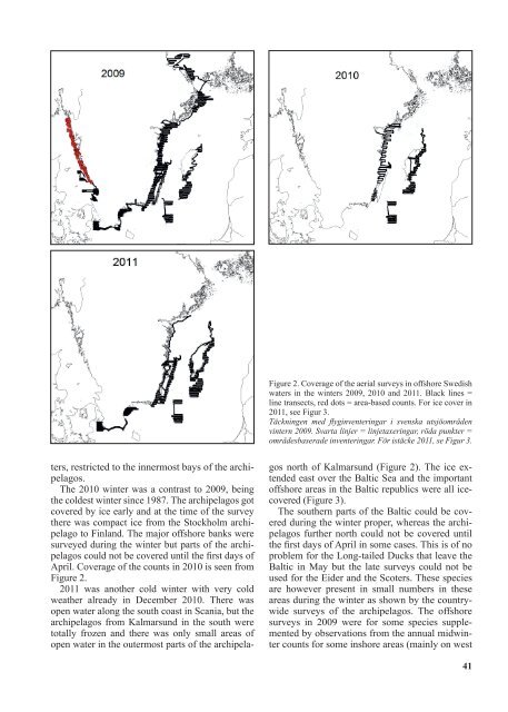 Distribution and numbers of wintering sea ducks ... - Lunds universitet
