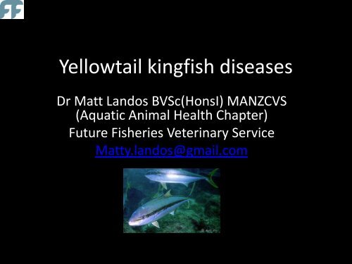 Yellowtail kingfish diseases