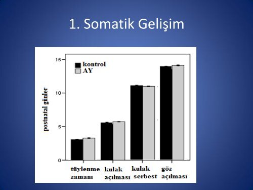 RATLARDA ANNE YOKSUNLUĞU SENDROMUNA ZENGĠNLEġTĠRĠLMĠġ ÇEVRENĠN ETKĠSĠ