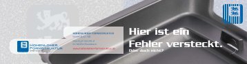 Hier ist ein Fehler versteckt. - bei Hohenloher Formstruktur