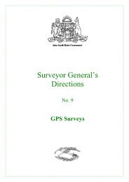 Surveyor General’s Directions