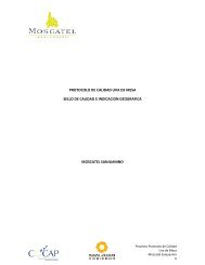 Protocolo de calidad para uva de mesa - Ministerio de ProducciÃ³n y ...