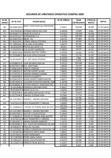 RESUMEN DE VIÑATEROS OPERATIVO COMPRA 2009