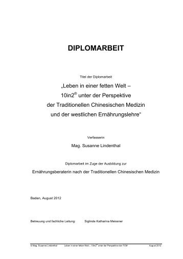 DIPLOMARBEIT - Was ist 10in2?