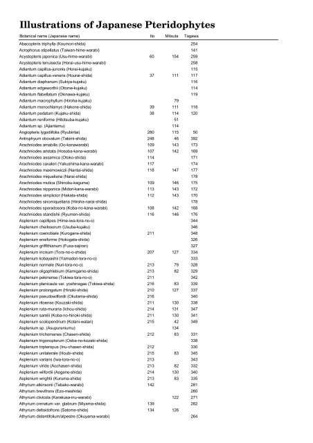 Illustrations of Japanese Pteridophytes - Barnes-botany