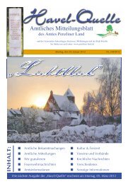 Unsere aktuelle Ausgabe 2012 kommt bald! - Amt Penzliner Land