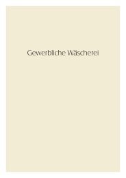 HI Historie Gewerbliche-Waescherei (PDF, 1041 KB)