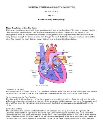 Cardiac Anatomy and Physiology - Centegra Health System